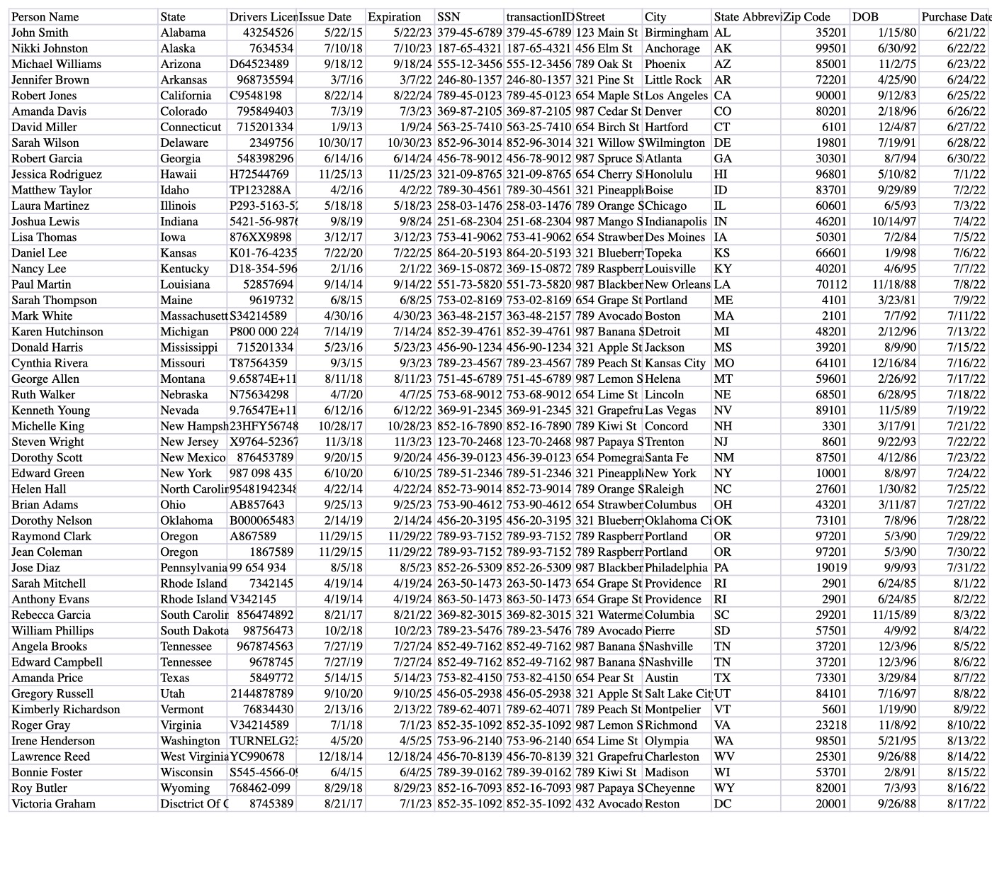 Preview of Spreadsheet: 50 people with SSNs and driver's licenses